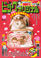 ビッグ　オリジナル　８号