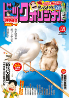 ビッグオリジナル