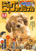 ビッグ　オリジナル　２０号