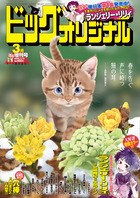ビッグ　オリジナル　３月増刊号