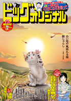 ビッグ　オリジナル　１１月増刊号