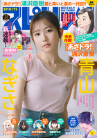ビッグ　スピリッツ　３３号