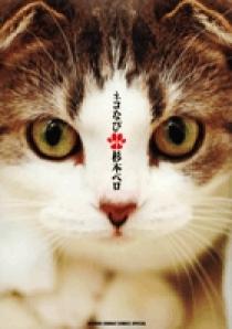 ネコなび 1 | 書籍 | 小学館