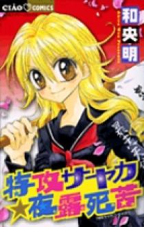 負けるが勝ち　ある夜の過ち　挿絵本　洋書　金緑表紙　豪華本 カラー挿絵25枚 絵はがきに使える勝山ひろし傑作画集 全カラー7枚入「少女」ふろく