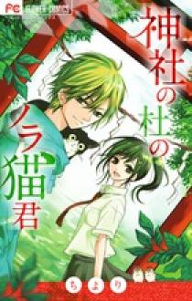 神社の杜のノラ猫君 小学館