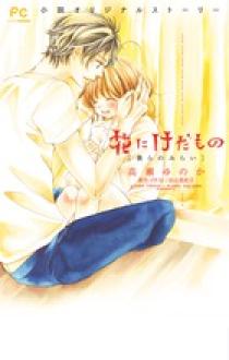花にけだもの 漫画、ノベライズ全巻セット コミック】花にけだもの(全10巻)+続編セット | 全巻セット
