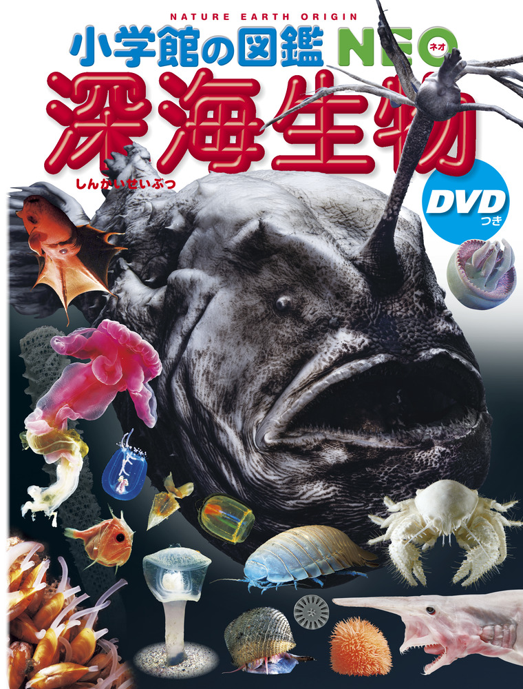 深海生物 ｄｖｄつき 小学館