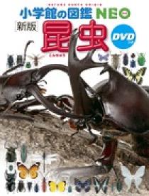 小学館の図鑑NEO〔新版〕 昆虫 DVDつき | 書籍 | 小学館 小学館の図鑑NEO〔新版〕 昆虫 DVDつき | 書籍 | 小学館