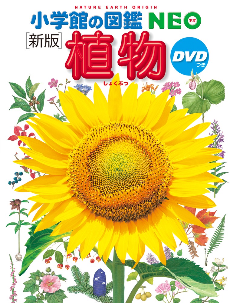 小学館の図鑑neo 新版 植物 ｄｖｄつき 小学館