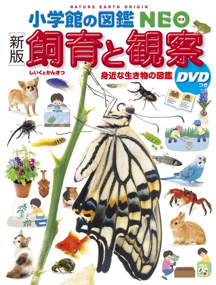 【DVD付】小学館の図鑑NEO　恐竜　昆虫　動物　宇宙　飼育と観察　食物 DVD付 新版 恐竜 (小学館の図鑑 NEO) | 冨田 幸光, 冨田 幸光