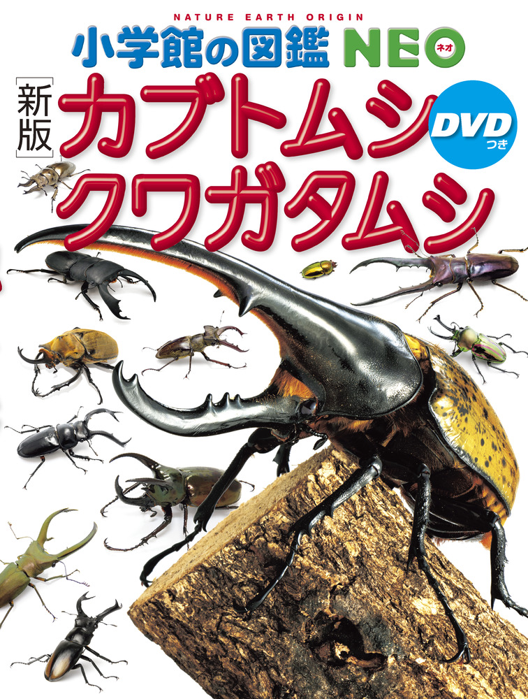 【新品】小学館の図鑑NEO 4冊(昆虫・カブトムシ・クワガタ等) 新版］カブトムシ・クワガタムシ DVDつき | 書籍 | 小学館