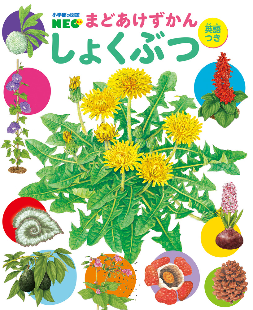 しょくぶつ | 書籍 | 小学館