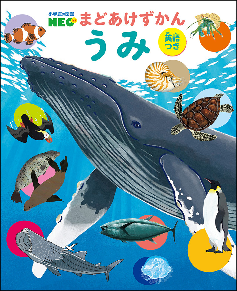 うみ（英語つき） | 書籍 | 小学館