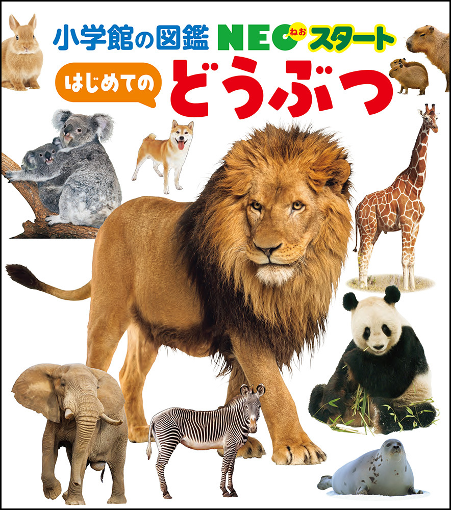 NEOスタート はじめての どうぶつ | 書籍 | 小学館