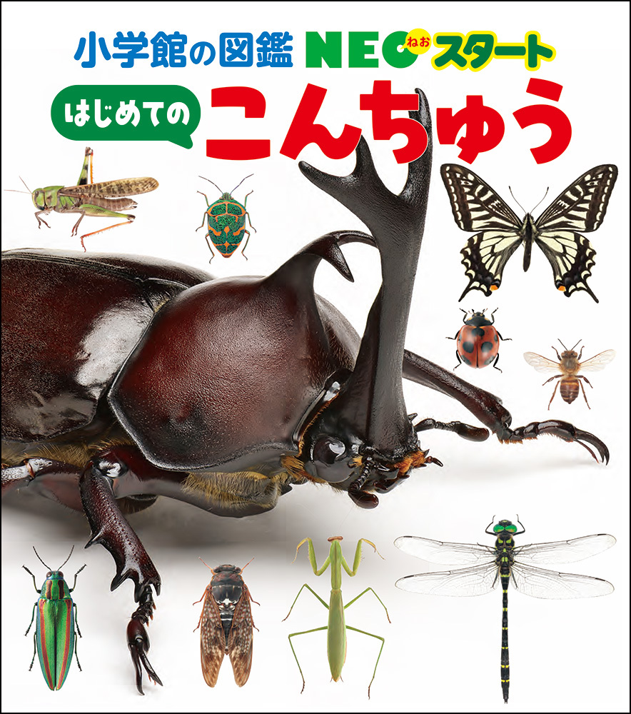 NEOスタート はじめての こんちゅう | 書籍 | 小学館