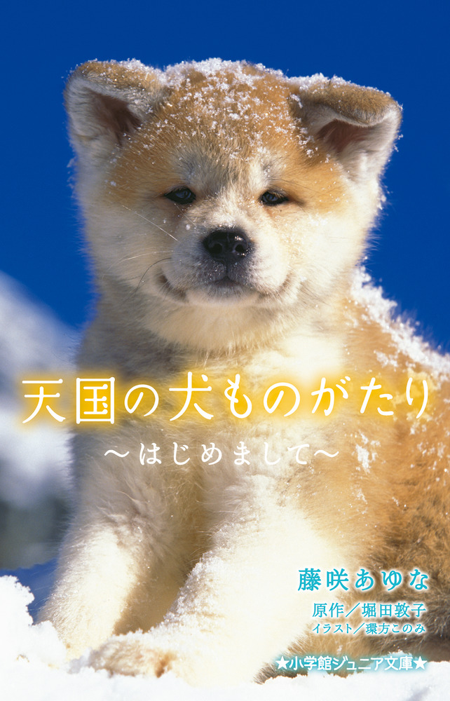 全国の犬像をめぐる 忠犬物語45話 青弓社