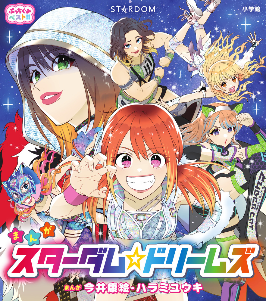 スターダム 女子プロレス タペストリー 2025，得価 最終値下げ STARDOM スターダム 女子プロレス 向後桃 等身