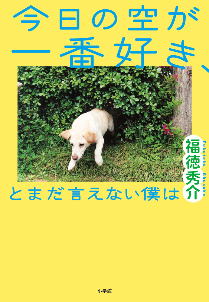 今日の空が一番好き とまだ言えない僕は 小学館