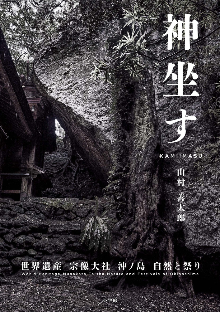 宗像大社文書 全4巻揃◆宗像大社文書編纂刊行委員会、宗像大社復興期成会、平成4年 宗像大社文書 全4巻揃◇宗像大社文書編纂刊行委員会、宗像大社復興期成