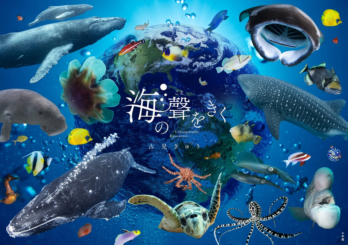 蒼の海ページ① 海の聲をきく | 書籍 | 小学館