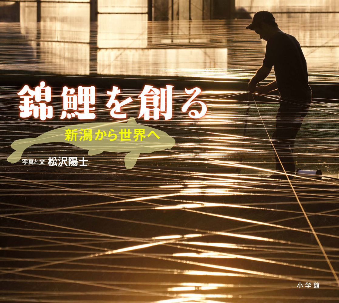 錦鯉を創る | 書籍 | 小学館