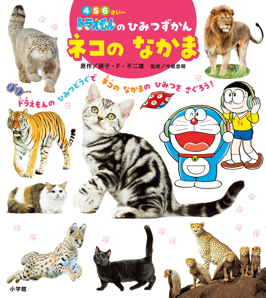 児童書おまとめ14冊セット 春休み 読書 ドラえもん 図鑑 Amazon.co.jp: 0さいからの ドラえもん はじめてずかん えいごつき