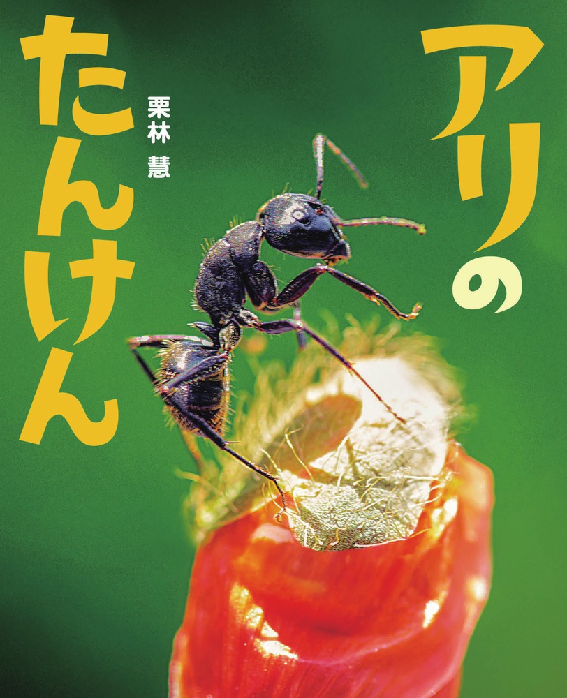 アリのたんけん 小学館