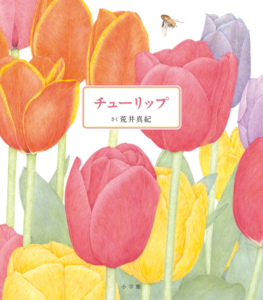 チューリップ 小学館