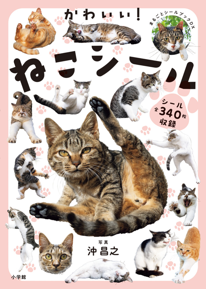 かわいい！ねこシール | 書籍 | 小学館
