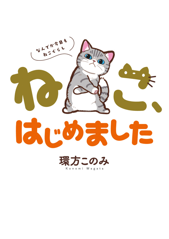 未開封★たま　ねこばば ねこまんまじかん（72個入） | その他（Other） | TOYS VENDOR JAPAN