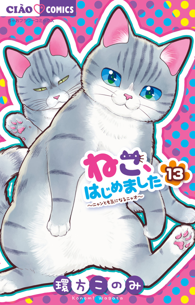 ねこ、はじめました 13 | 書籍 | 小学館
