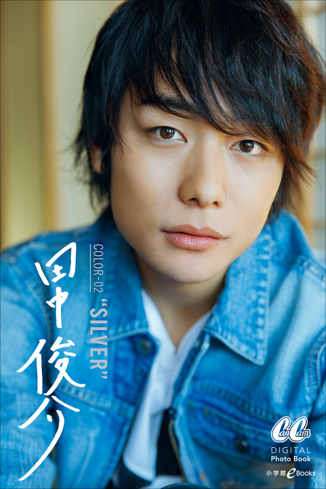 田中 俊介 Color 02 ｓｉlver 小学館