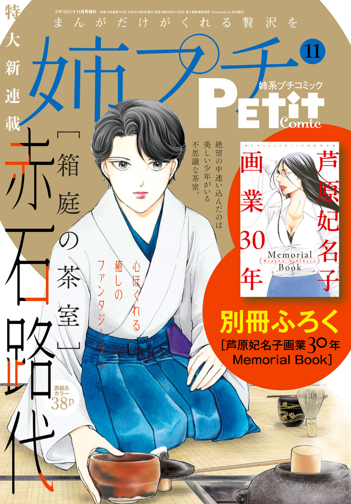 光のパンジー全11巻 Amazon.co.jp: 光のパンジー11巻 : 奥村 真理子: Japanese Books