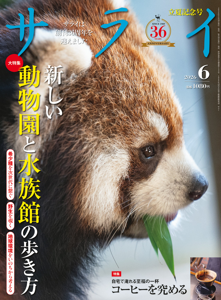 サライ　創刊号〜530号(2011年4月) 全巻揃い サライ 6月号 | 雑誌 | 小学館