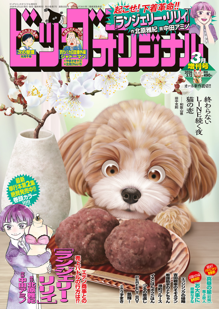 ビッグ オリジナル 3月号増刊 | 雑誌 | 小学館